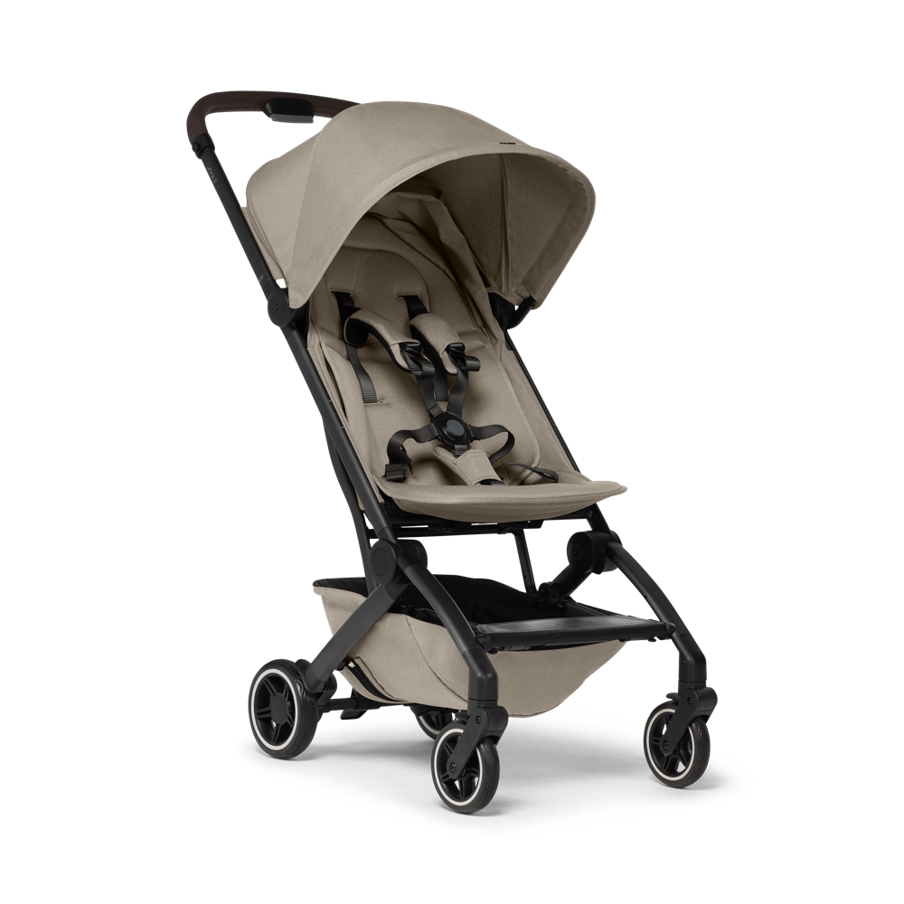 Buggy and baby shop online